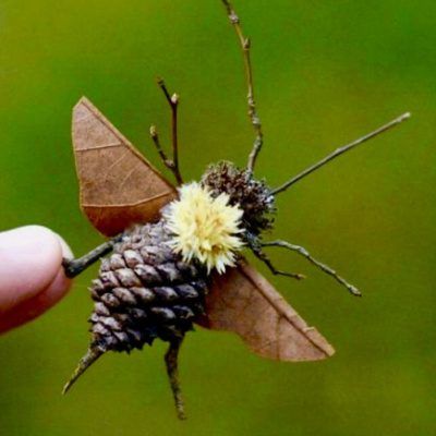 bee-blog.estefi.machado Pinecone Bee Craft, Easy Crafts For Pre K, Forest School Crafts, Landart Ideas, Forest School Ideas, Pinecone Art, Forest Crafts, Tre Kunst, Wood Bees