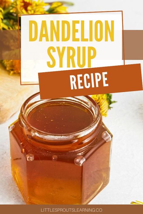 Dandelion Simple Syrup, Dandelion Syrup Recipe, Dandelion Cordial, Dandelion Syrup, Creative Canning, Dandelion Quotes, Honey Remedies, Refresh Home, Canning Jam Recipes