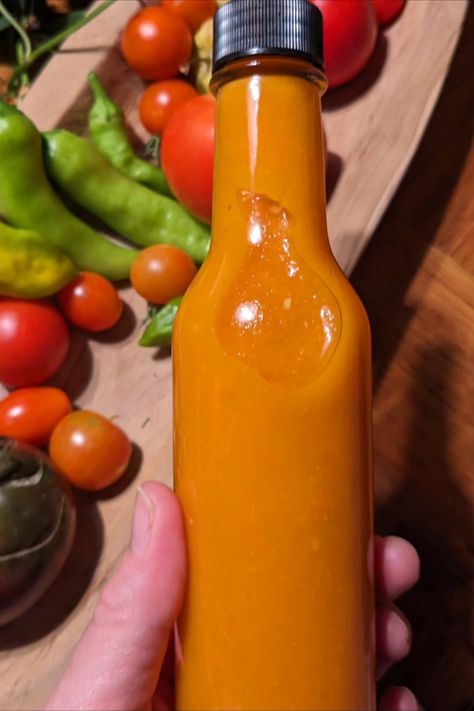 Roasted Orange Habanero, Carrot & Tomato Hot Sauce Recipe Roasted Habanero Hot Sauce, Carrot Habanero Hot Sauce, Tomato Hot Sauce Recipe, Serrano Hot Sauce, Hot Sauce Recipe, Heirloom Tomato Seeds, Habanero Hot Sauce, Hot Pepper Seeds, Champagne Vinegar