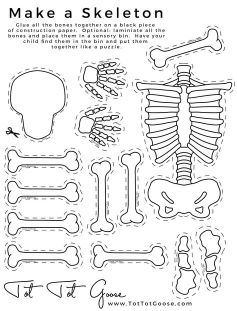 Skeletal System Worksheet Pdf Skeleton Printable All About theme Preschool 7th Grade Skeleton Puppet, Skeleton Craft, Body Preschool, مشروعات العلوم, Human Body Unit, Adornos Halloween, Seni Origami, Preschool Science, Tot School