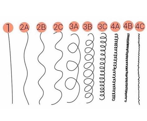 Curl Pattern Chart, Curl Type Chart, Hair Texture Chart, Hair Type Chart, Hair Chart, Black Hair Types, Different Curls, Textured Curly Hair, Curly Hair Types