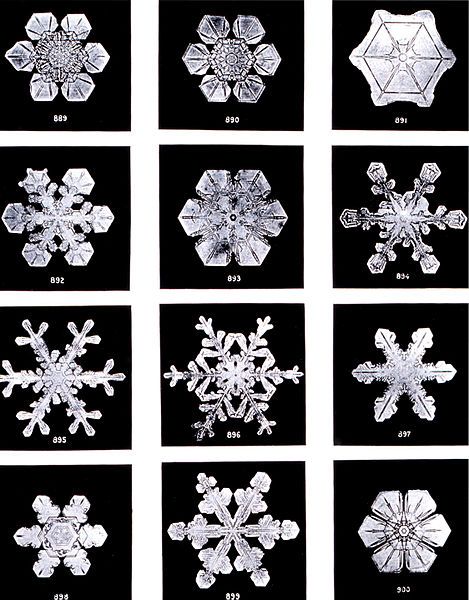 Snowflake Bentley, Masaru Emoto, Snowflakes Real, Snowflake Photos, Snow Crystal, Hemma Diy, Microscopes, Ice Crystals, Things Under A Microscope