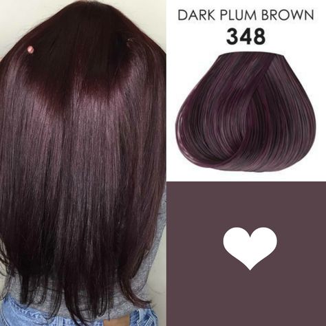 Amethyst Brown Hair, Bleach Placement Hair, Plum Brown Hair, Plum Hair Color, Plum Hair, Wine Hair, Cherry Hair, Hair Tint, Brunette Hair With Highlights