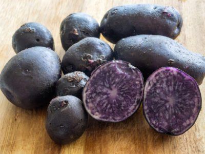 What Are Purple Potatoes – Learn About Purple And Blue Potato Benefits Grow Potatoes In Container, Benefits Of Potatoes, Seed Potatoes, Container Potatoes, Potato Gardening, Blue Potatoes, Potato Varieties, Types Of Potatoes, Planting Potatoes