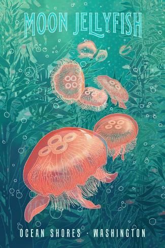 size: 18x12in Art Print: Ocean Shores, Washington - Fluid Linework - Moon Jellyfish - Lantern Press Artwork by Lantern Press : Ocean Shores Washington, Jellyfish Lantern, Ocean Room Decor, Moon Jellyfish, Jellyfish Art, Ocean Shores, Dorm Posters, Beach Posters, Jelly Fish