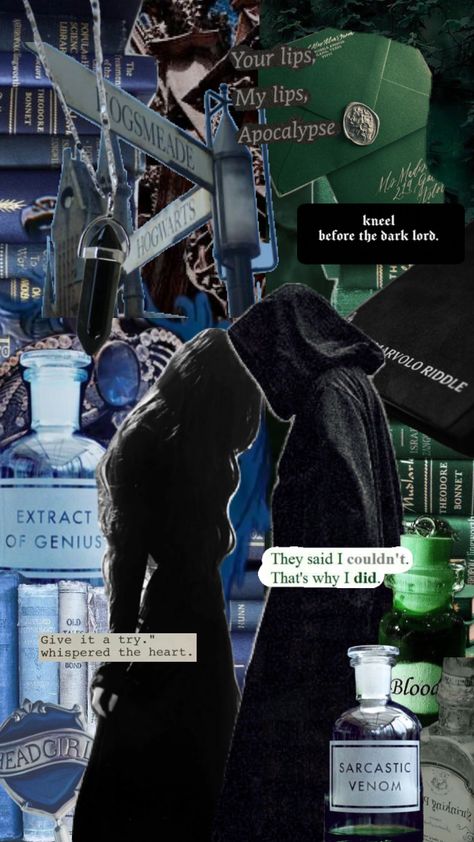 MODIFICATION (iykyk) #tomriddle #slytherins #ravenclaw #fanfiction Slytherin X Ravenclaw Aesthetic, Slytherin Wallpaper, Ravenclaw Aesthetic, Ravenclaw House, Slytherin Aesthetic, Tom Riddle, Dark Lord, Harry Potter World, Harry Potter Funny