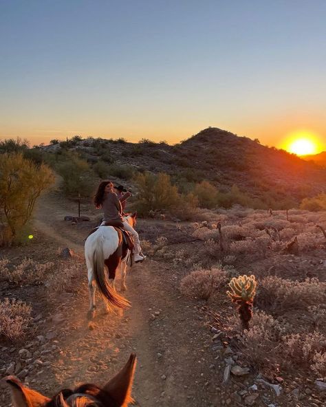 @stephbohrer on instagram Horse Girl Aesthetic, Steph Bohrer, Peter Wolf, Wolf Aesthetic, Horse Riding Aesthetic, Country Summer, Western Life, Horse Aesthetic, Western Aesthetic