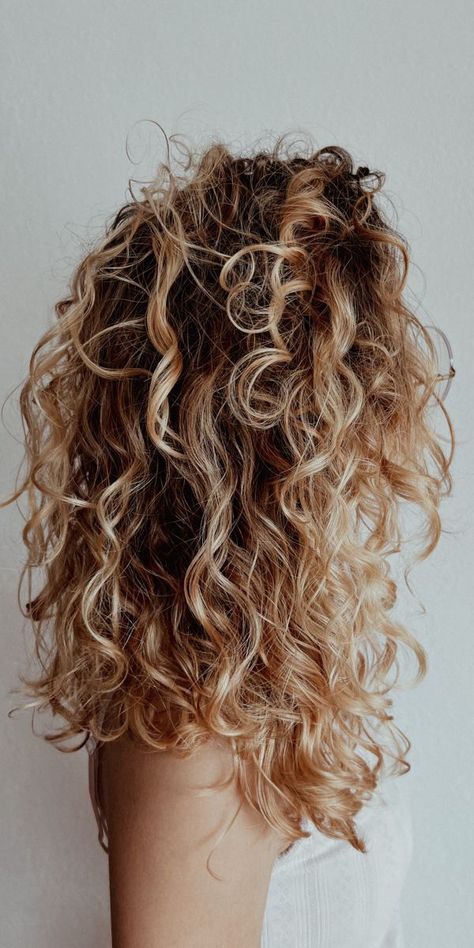 Blonde Curly hair Thick Blonde Highlights Curly Hair, Fall Blonde Hair Curly, Honey Highlight On Curly Hair, Shaped Curly Hair Natural Curls, Dark Roots Blonde Hair Curly, Fall Blonde Balayage Curly Hair, Naturally Curly Hair With Blonde Highlights, Low Lights For Blonde Hair Curly, Naturally Blonde Curly Hair