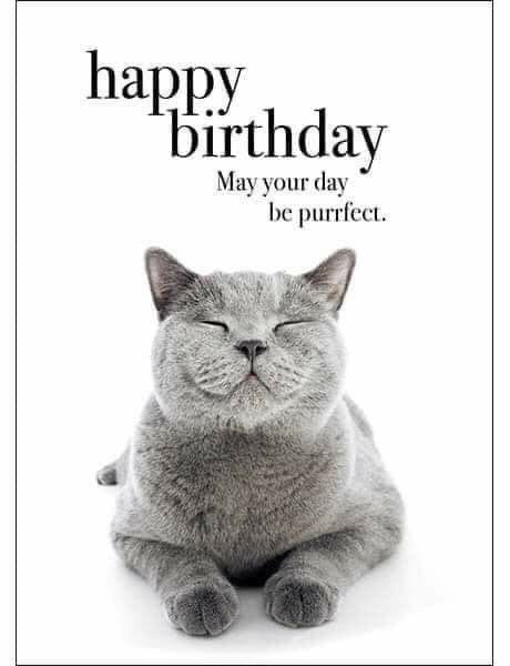 Happy Birthday Animals, Birthday Golf, Funny Happy Birthday Wishes, Dj Art, Birthday Wishes Greetings, Happy Birthday Best Friend, Birthday Cat, Birthday Greetings Friend, Happy Birthday Greetings Friends