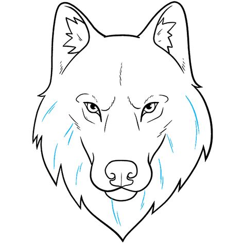 Wolf Head and Face step-by-step drawing tutorial: step 11 Wolf Head Drawing, Wolf Face Drawing, Wolf Drawing Easy, Wolf Outline, Zoo Animal Coloring Pages, Cartoon Wolf, Wolf Colors, Face Outline, Drawing Guides