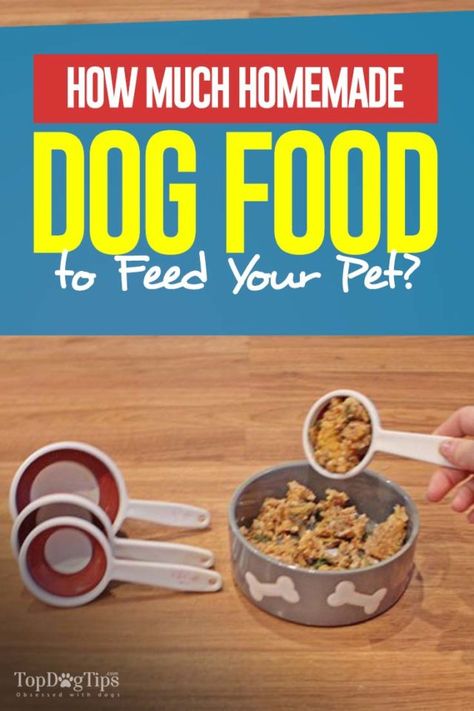 Diy Dog Food, Make Dog Food, Dog Treats Homemade Recipes, Raw Dog Food Recipes, Healthy Dog Food Recipes, Food Out, Puppy Food, Dog Treat Recipes, Dog Recipes