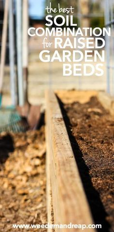 The BEST Soil Combination for Raised Garden Boxes | Weed 'Em and Reap Garden Boxes Raised, Vegetable Garden Raised Beds, Building A Raised Garden, Organic Vegetable Garden, Garden Plans, Home Vegetable Garden, Organic Gardening Tips, Raised Bed, Garden Boxes