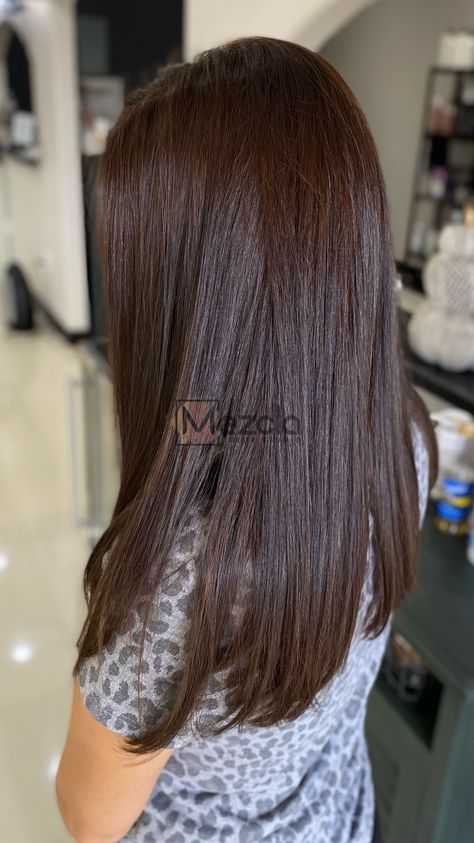 Hair Ideas Brunette, Coffee Hair Color, Cabello Color Chocolate, Brunette Hair Ideas, Color Straight Hair, Dark Brown Hair Dye, Pelo Color Vino, Chocolate Brown Hair Color Ideas, Brown Hair Inspiration