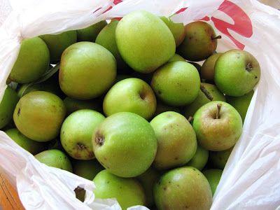 What to Do with Crab Apples,well there in my back yard crab ,had to look it up ~apple jelly,so unexspectantly delicate and applesauce  MMMMMm...Good~ Green Apple Recipes, Crab Apple Recipes, Crab Apple Jelly, Green Crab, Crab Apples, Apple Wine, Diy Mixes, Apple Glaze, Apple Jelly