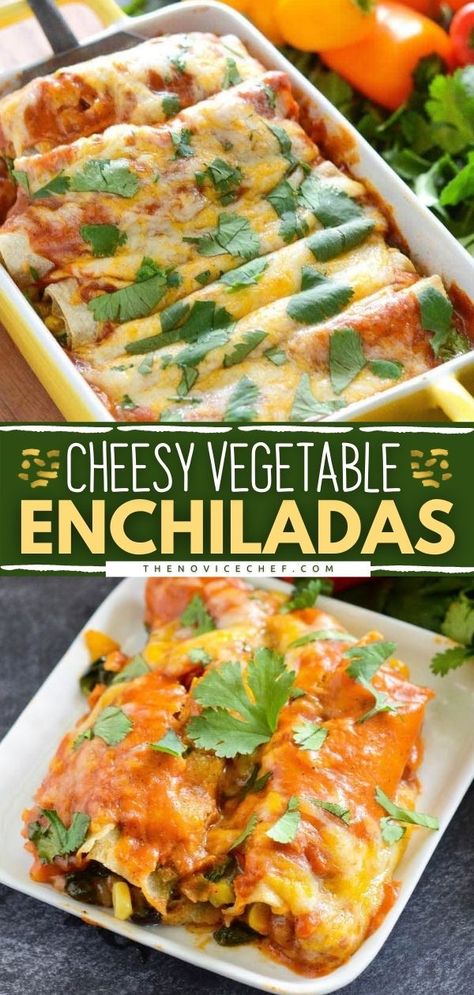 Vegetable Enchiladas Recipe Healthy Enchiladas Vegetarian, Easy Vegetarian Enchilada Casserole, Easy Enchiladas Vegetarian, Best Vegetarian Enchiladas, Veg Enchiladas Recipe, Vegitaren Enchiladas, Enchiladas Recipe Vegetarian, Meatless Enchiladas Recipes, Veggie Burittos Recipes