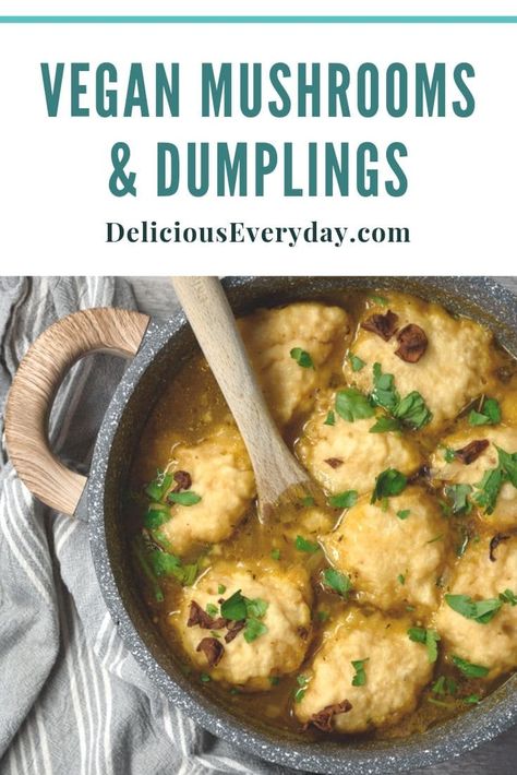 Mushroom Dumpling Soup, Vegan Soup Dumplings Recipe, Vegetarian Stew And Dumplings, Vegan Stew And Dumplings, Mushroom Broth Uses, Dumplings Recipes Homemade, Vegan Soup Dumplings, Vegetarian Chicken And Dumplings, Vegan Dumpling Soup