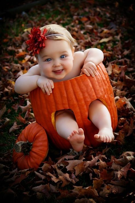 Oh my word. I so want to do this. Halloween Baby Pictures, Fall Baby Pictures, 6 Month Baby Picture Ideas, Baby First Halloween, Cool Baby, Foto Baby, Halloween Photos, Holiday Baby