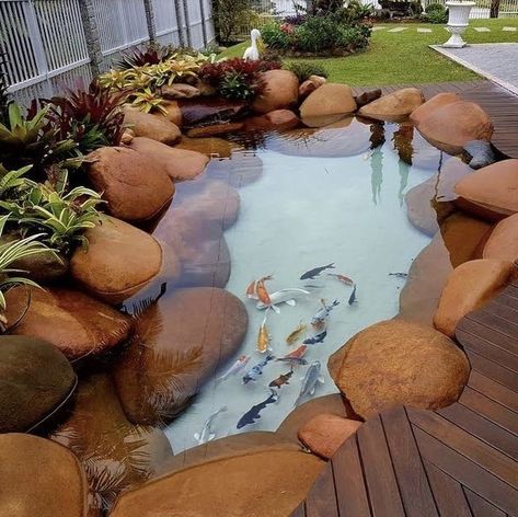 Natural Koi Pond, Kolam Air, Kolam Koi, Fish Pond Gardens, Taman Air, Garden Pond Design, Outdoor Ponds, Diy Pond, Ikan Koi