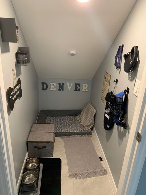 Under The Staircase Dog House, Dog Room Ideas In Closet, Pet Room Ideas Under Stairs, Doggie Nook Under Stairs, Dog Room Wall Ideas, Closet Converted To Dog Room, Dog Under The Stairs Room, Dog Closet Ideas Pet Rooms, Coat Closet Into Dog Room