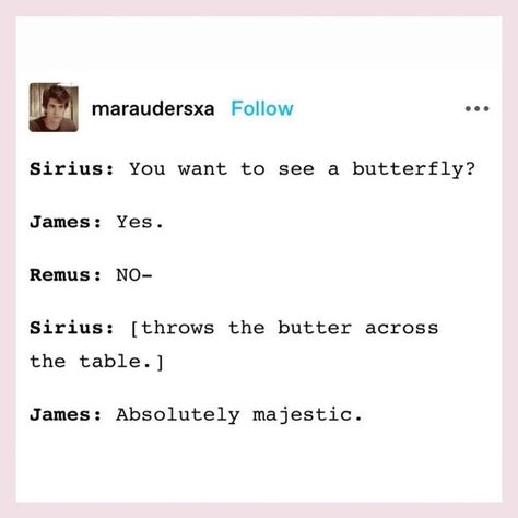 Mauraders Funny, Marauders Memes Funny, Marauders Tumblr, Funny Marauders, Marauders Funny, Marauders Headcanons, Marauders Quotes, Glume Harry Potter, Hp Universe