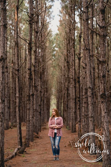 Pine trees definitely get overlooked... they're simple, have no leaves, yet somehow look awesome in photographs. Photoshoot In Pine Trees, Photography Poses With Trees, Pine Forest Photoshoot Ideas, Family Pictures In Pine Trees, Poses With Trees Picture Ideas, Trail Photoshoot Ideas, Pine Tree Photography, Pine Tree Photoshoot, Pine Forest Photography