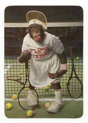 I've met a tennis monkey JUST like this before! Sarcastic Quotes Funny, Sarcastic Quotes, Tennis, Funny Quotes, Sports, Funny