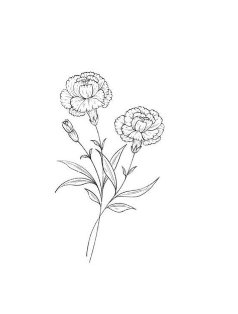 Marigold Bouquet Drawing, Marigold Fineline Tattoo, Marigold Wrap Around Tattoo, Carnation Bouquet Drawing, Marigold Sketch Simple, Realistic Carnation Tattoo, Carnation Flower Tattoo Stencil, Marigold Black And White Tattoo, Carnation Sketch Simple