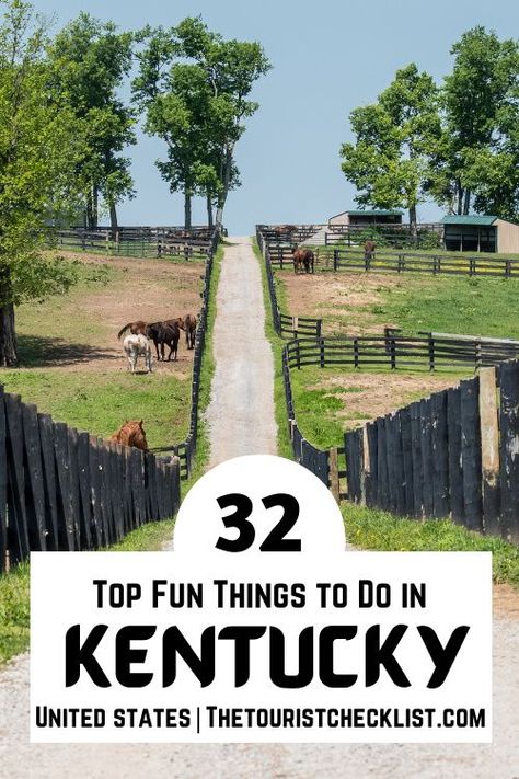 Dreaming about a family vacation to Kentucky and looking for things to do? Discover the most fun things to do in Kentucky - so you get memories that last a lifetime! #kentucky #kentuckythingstodo #kentucky #kentuckyactivities Kentucky Road Trip, Rogers Kentucky, Things To Do In Kentucky, Cadiz Kentucky, Travel Kentucky, Kentucky Tourism, Kentucky Attractions, Newport Aquarium, Rv Trips