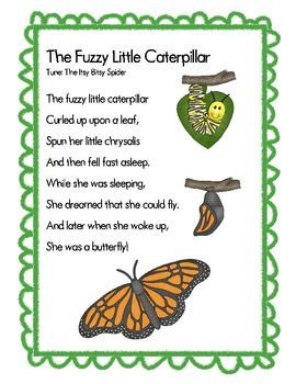 Butterfly Lessons, Preschool Poems, Butterfly Songs, Hungry Caterpillar Activities, Insects Preschool, Bugs Preschool, Circle Time Songs, Kindergarten Songs, Classroom Songs