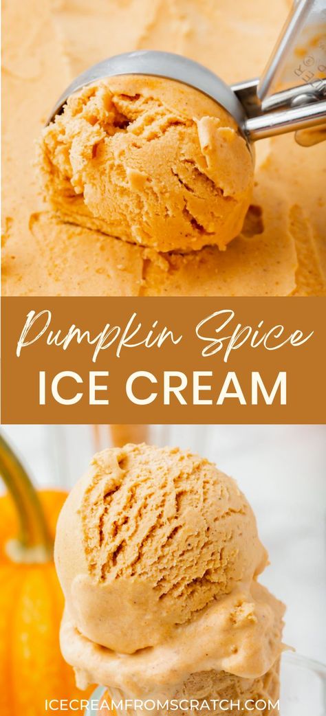 The top half has an ice cream scoop scooping from a layer of pumpkin spice ice cream. The bottom half has a sugar cone holding 2 scoops of pumpkin spice ice cream. Pumpkin Ice Cream No Churn, No Churn Pumpkin Ice Cream, Fun Ice Cream Flavors, Pumpkin Spice Ice Cream Recipe, Fall Ice Cream, Pumpkin Ice Cream Recipe, Autumn Dishes, Ice Cream From Scratch, Kitchen Aid Ice Cream