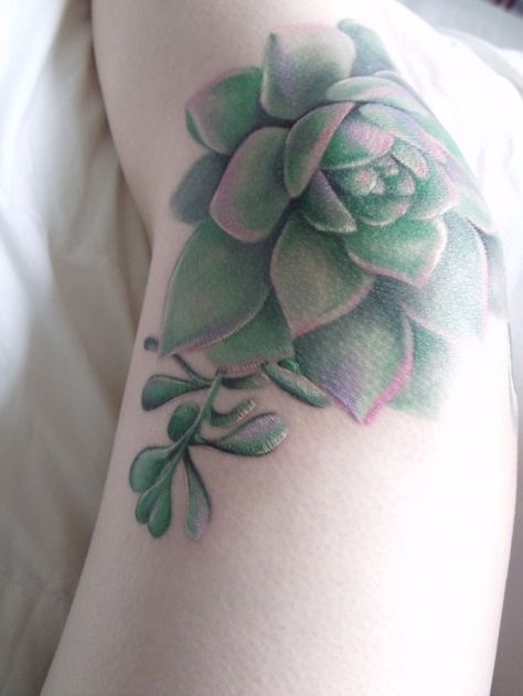 Don't like the placement, but the tattoo is beautiful Green Flower Tattoo, Succulent Tattoo, Whatever Forever, Mother Hen, Inspiration Tattoos, Geniale Tattoos, Botanical Tattoo, Arrow Tattoo, Knee Tattoo