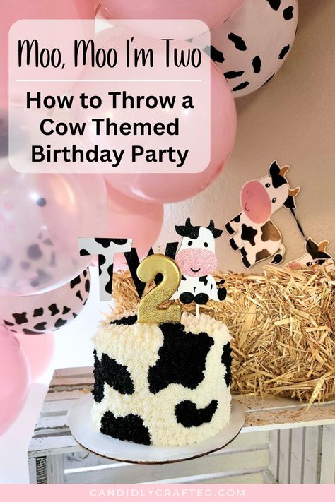 Cow cake for a cow themed birthday party. 2nd Birthday Party Cow Theme, Two Year Old Cowgirl Party, Cow Birthday Treats, Moo Two Birthday Party, Oink Cluck Moo 2nd Birthday Cake, Second Birthday Farm Theme Girl, Cow Second Birthday Party Girl, 2nd Birthday Cow Theme Girl, 2nd Birthday Farm Theme Girl