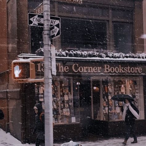 Manhattan Winter, Aesthetic Bookstore, Winter Nyc, Dark Christmas, Winter Mood, Cozy Aesthetic, Dark Winter, Winter Wallpaper, Winter Scenery