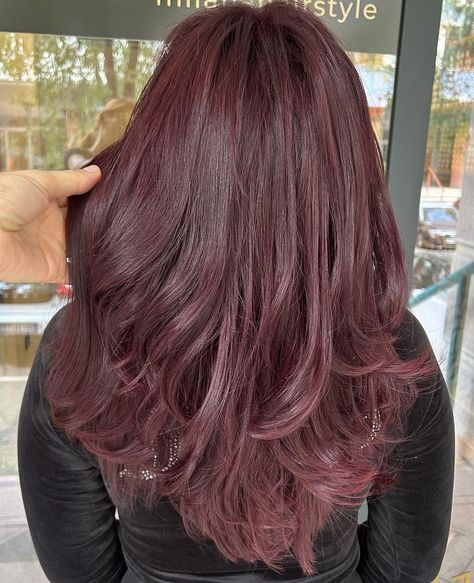 Purple Reddish Hair Color, Pink Overtone Brown Hair, Plum Pink Hair, Dark Pink Brown Hair, Dark Red And Pink Hair, Raspberry Brown Hair, Brown With Purple Undertones, Pinkish Purple Hair, Reddish Purple Hair