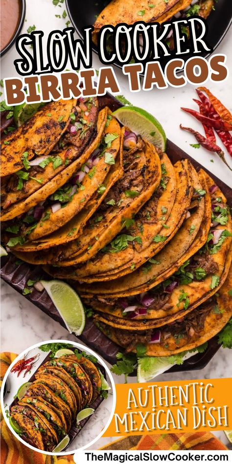 These Slow Cooker Birria Tacos will send your taste buds on a trip south of the border. The ingredient list may look long or even daunting, but as with any good broth, soup, or sauce base, it's well worth the effort. This deliciously nearly authentic Mexican dish will impress your family and friends. - The Magical Slow Cooker Easy Crockpot Birria, Slow Cooker Birria Tacos, Easy Birria Tacos, Slow Cooker Birria, Crockpot Tacos, Beef Birria Recipe, Birria Recipe, Beef Birria, Magical Slow Cooker