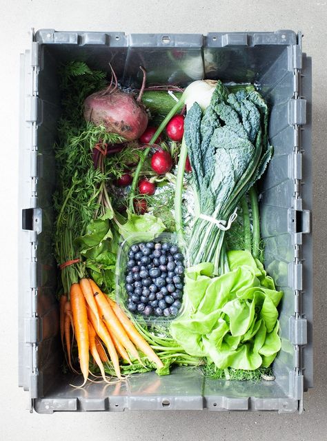 CSA Box Strategies + a Farmhouse Salad #csa #goodeats Csa Farm, Csa Box, Veggie Box, Food Matters, Market Garden, Local Farm, Local Produce, Frozen Vegetables, Honey Bees