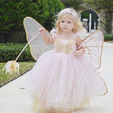 Pink Butterfly Fairy Toddler Halloween Costume | Pottery Barn Kids Toddler Fairy Costume, Baby Fairy Costume, Girls Butterfly Costume, Girly Costumes, Toddler Halloween Costume, Fairy Garden Birthday Party, Fairy Halloween Costumes, Butterfly Costume