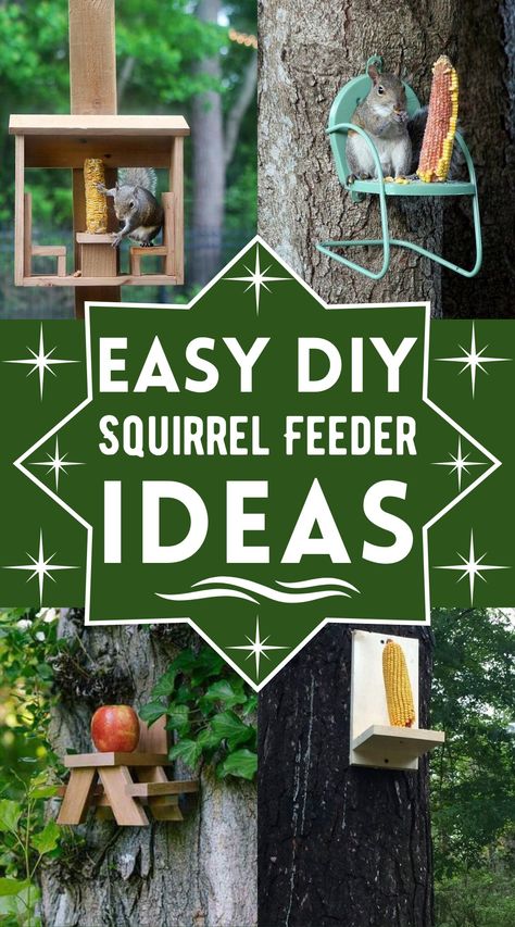 15 Cheap And Easy DIY Squirrel Feeder Ideas Squirrel Feeder Diy Simple, Diy Bird Feeder Easy, Squirrel House Diy, Suet Feeder Diy, Diy Squirrel Feeder, Squirrel Feeder Diy, Gallon Glass Jars, Squirrel Feeders, Squirrel Feeder