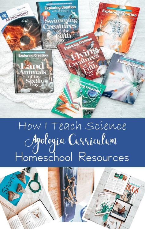 Zoology Curriculum High School, Apologia Zoology 1, Apologia General Science, Kindergarten Science Curriculum, Homeschool Science Lessons, Apologia Biology, Homeschooling Elementary, Science Homeschool, Homeschool Science Curriculum