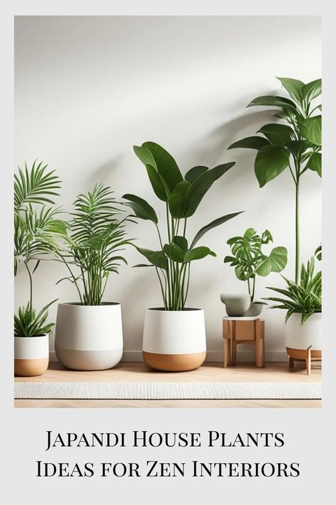 Discover Japandi house plants ideas that bring serene elegance to your space. Embrace minimalist greenery for a peaceful and stylish interior. Japandi Indoor Plants, Japandi Plants Living Room, House Plants Ideas, Japandi Color Palette, Zen Kitchen, Japandi House, Japandi Home Decor, Popular House Plants, Indoor Plants Styling