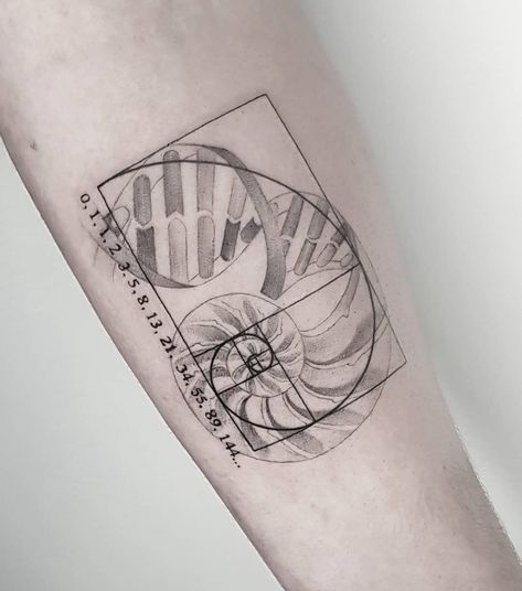 Fibonacci Shell Tattoo, Fibanocci Tattoos, Fibonacci Tattoo Golden Ratio, Fibonacci Tattoos, Fibbonaci Tattoo, Dna Tattoo Ideas, Tatouage Fibonacci, Golden Spiral Tattoo, Fibonacci Spiral Tattoo