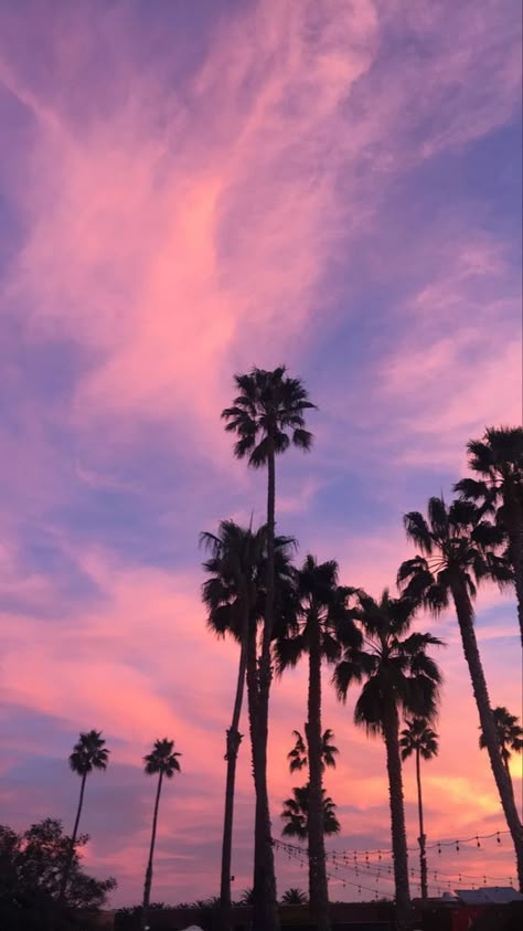 Palm Trees Sunset Wallpaper, Pink Sky Palm Trees, Sky Aesthetic Sunsets Pink, Aesthetic Palm Trees Background, Pink Esthetics Background, Pink Palm Tree Aesthetic, Tapeta Iphone Tumblr, Pink Hour Sky, Pink Palm Trees Wallpaper