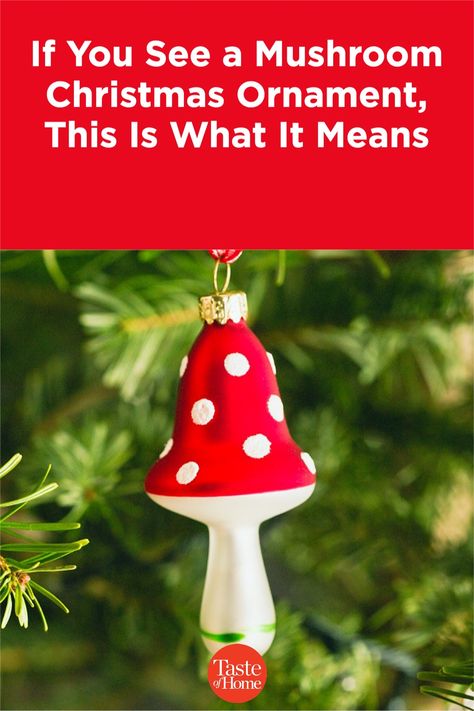 The Christmas mushroom could be your new good luck charm! Learn how this fungus made its way into Christmastime. Mushroom Christmas Tree Decoration, Christmas Tree Mushrooms, Diy Funny Ornaments, Christmas Mushrooms Decoration, Mushroom Ornaments Diy, Diy Mushroom Ornaments, Mushroom Christmas Decor, Mushroom Decor Diy, Mushroom Christmas Ornaments