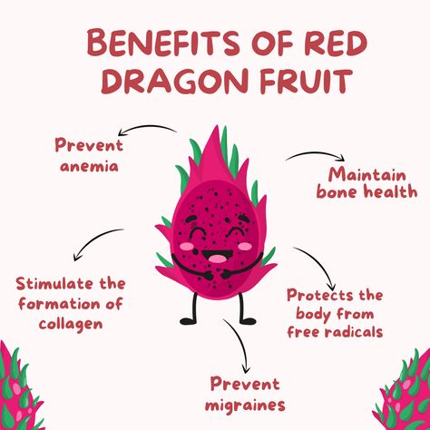 Health and Wellness: We believe that great taste and good health should go hand in hand. Dragon Fruit is not just a treat for your taste buds; it's a gift to your body. Packed with vitamins, antioxidants, and nutrients, our Dragon Fruit is nature's way of nourishing you. Fruits Benefits, Dragon Fruit Benefits, Pink Dragon Fruit, Red Dragon Fruit, Migraine Prevention, Fruit Benefits, Fruit Garden, Bone Health, Red Dragon