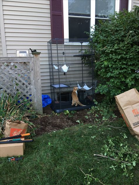 DIY catio using an amazon-bought cat enclosure + petsafe pet screen door (your glass window closes over it when away, good  security) + chicken wire to create a tunnel from the recessed basement window to the enclosure! #catio Basement Window Well Catio, Basement Window Catio, Window Catio, Basement Window Well, Pet Screen Door, Basement Window, Cat Space, Pet Doors, Window Well