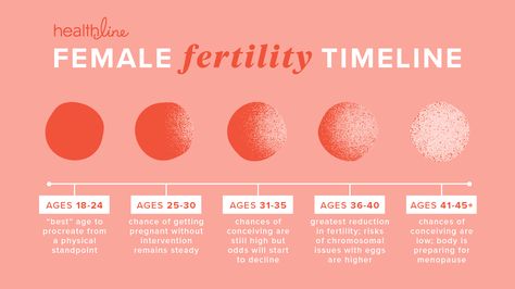 A Breakdown of the Fertility Timeline Anatomy Education, Boost Fertility, Pregnancy Planner, Fertility Health, Biology Facts, Colon Health, Female Fertility, Fertility Diet, Fertility Center