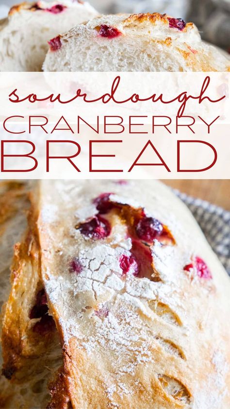 This amazing cranberry sourdough bread is the perfect combination of tart, sweet and sourdough. Its perfect for the holidays! Bread Flavor Ideas, Cranberry Sourdough Bread, Cranberry Sourdough, Cranberry Honey, Bread Artisan, Cranberry Orange Bread, Sourdough Starter Discard Recipe, Cranberry Cream Cheese, Christmas Bread