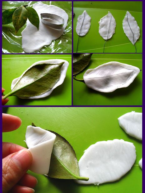 Picture of Leaf Sculptures & Colouring Techniques Cold Porcelain Clay Recipe, Porcelain Clay Recipe, Dough Art, Cold Porcelain Tutorial, Clay Recipe, Cold Porcelain Clay, Clay Moulding, Gumpaste Flowers, Cold Porcelain Flowers