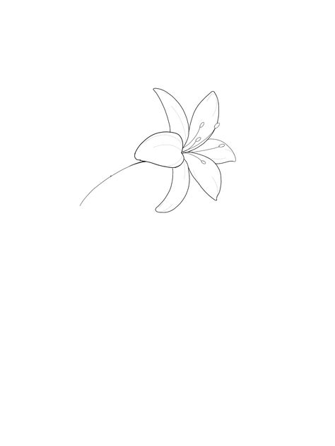 Lilly Tattoo Small Simple, Simple Lilly Tattoo Design, Lily Flower Tattoos Minimalist, Lily Flower Simple Drawing, Flower Without Stem Tattoo, Minimal Lily Flower Tattoo, Small Lily Flower Tattoo Simple, Amaryllis Tattoo Simple, Lily Flower Outline Tattoo