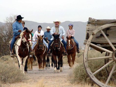 15 Best Things to Do in Maricopa (AZ) - The Crazy Tourist Maricopa Arizona, Chandler Arizona, Equestrian Center, Downtown Phoenix, Farm Tour, Team Building Events, Chandler Az, Lake Park, Trail Riding